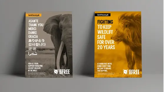 PMW Design - Born free image 4